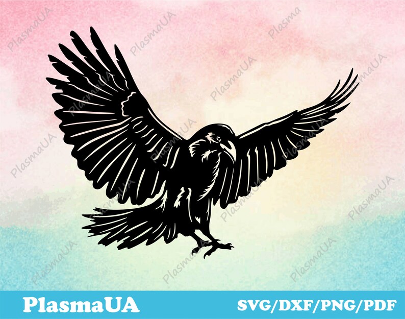 May include: Black silhouette of a raven with wings spread wide, in a flying pose. The raven is facing the left side of the image.