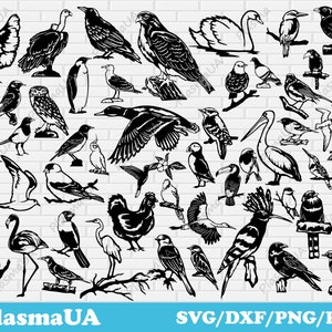 Fichiers coupés bundle SVG, oiseaux dxf pour découpe laser, oiseaux svg pour cricut, oiseaux de la jungle svg, fichiers png, oiseaux silhouette, conception de chemise, bundle dxf