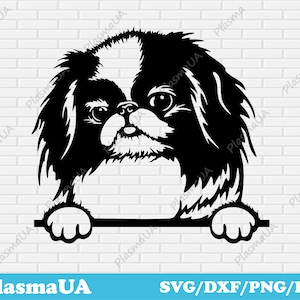 Japanse Chin svg, huisdier portret svg, hond portret, aangepast huisdier portret, downloads svg bestanden, digitaal portret, clipart png, aangepaste svg