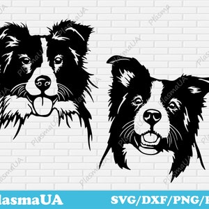 Border Collies svg for cricut, pets portrait dxf, laser cut designs, craft cnc files, plasma dxf files, dogs shirts svg designs, dog dxf