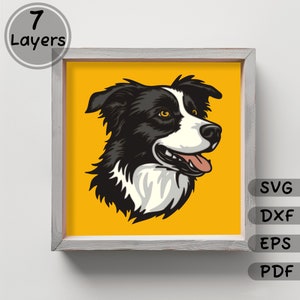 May include: A black and white border collie dog with a yellow background. The dog is looking to the right and has its tongue sticking out.