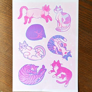 May include: A pink and purple print featuring seven cats in various poses. The cats are drawn in a cartoon style with simple lines and bright colors. The background is a light pink with a subtle sparkle effect.