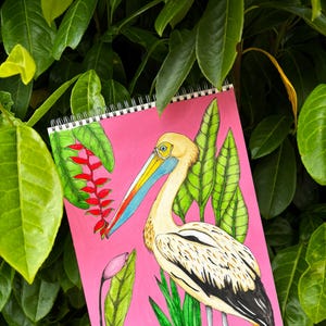 Peruvian Pelican Painting Art Print