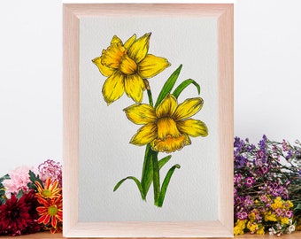 Daffodil Floral Painting Illustation