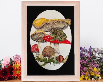 May include: A framed illustration of a green frog sitting on a red and white mushroom, with two other mushrooms in the background. The mushrooms are yellow, brown, and red with white spots. The illustration is set against a black background.