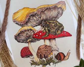 May include: A hand-drawn illustration of a toad sitting on a red and white mushroom with a yellow mushroom above it and a snail crawling on the ground. The mushrooms are surrounded by green leaves.