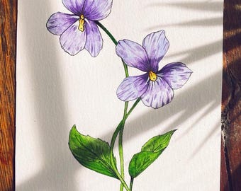 Violet Floral Painting Illustration
