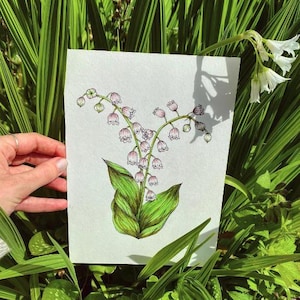 Lily of the Valley Floral Painting Illustration