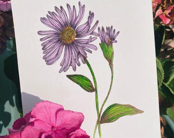May include: A hand-drawn illustration of a purple flower with green leaves. The flower has a yellow center and is drawn in a realistic style.