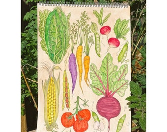 Mixed Garden Vegetables Vintage Style Watercolour Painting Print