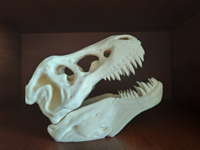 resin t rex skull