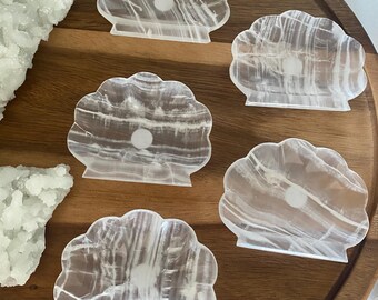 White Onyx Seashell
