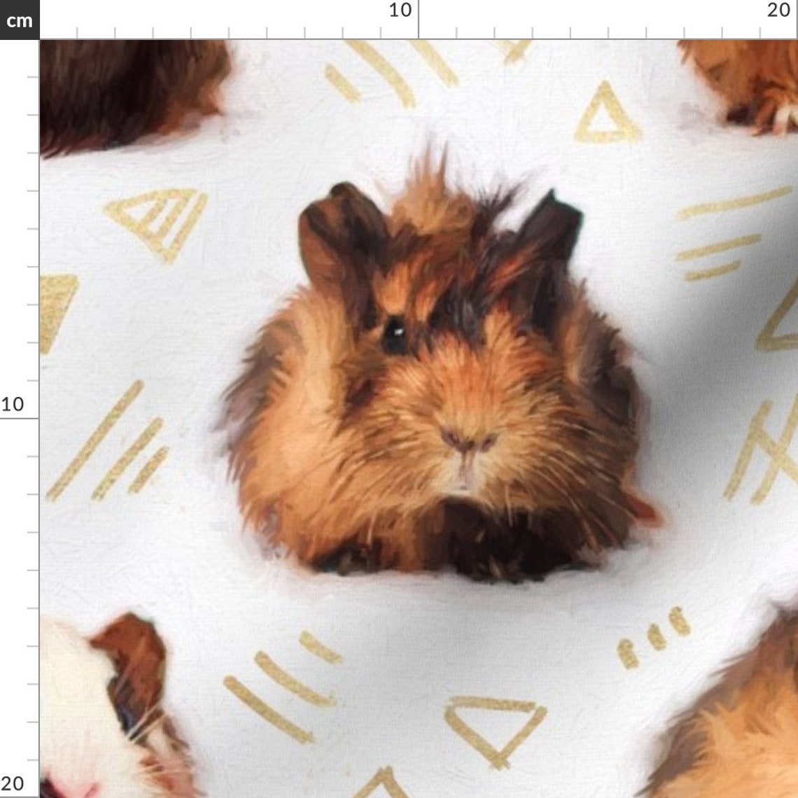 Guinea Pigs And Lines Fabric The Essential Guinea Pig By Etsy