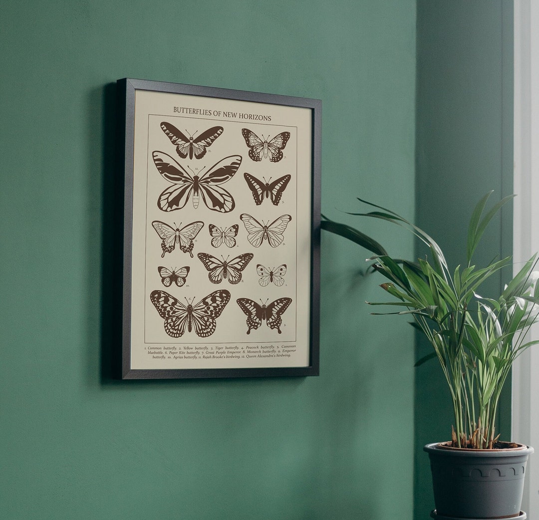ACNH Butterflies Entomology Poster Vintage Scientific Art Illustration