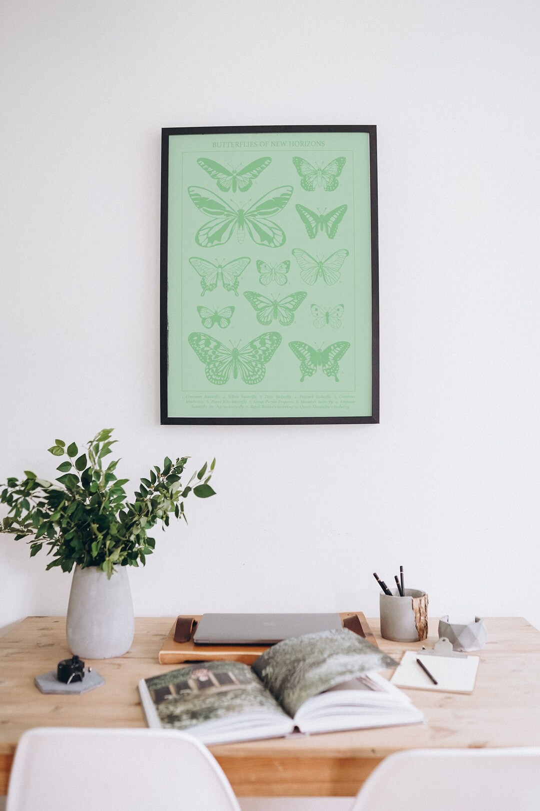 ACNH Butterflies Entomology Poster Vintage Scientific Art Illustration