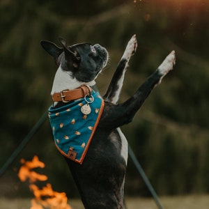 Adventure Seeker campfire Dog bandana tie and snap on - camping, hiking, teal, bandanna