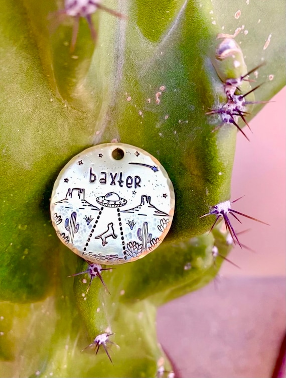 Rustic Dog Tags for Dogs - Desert Alien Abduction Tag, Hand Stamped, Hand  Crafted, Western, Cactus, Utah, Southwestern, Ufo, New Mexico - Etsy