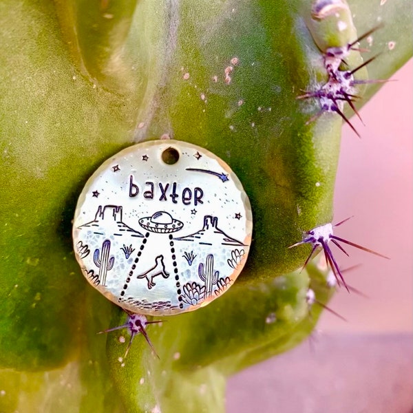 Rustic Dog Tags for Dogs - Desert Alien abduction Tag, hand stamped, hand crafted, western, cactus, Utah, southwestern, ufo, New Mexico