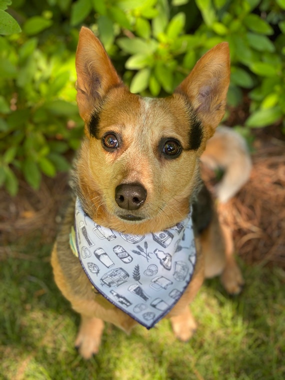 Beer Buddy Dog Bandana beer IPA stout lager drinking Etsy