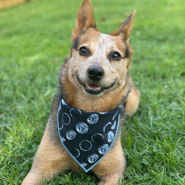 Mystical Moon Dog bandana tie and snap on - moon phases, crescent moon, stars, constellation, night sky, bandanna