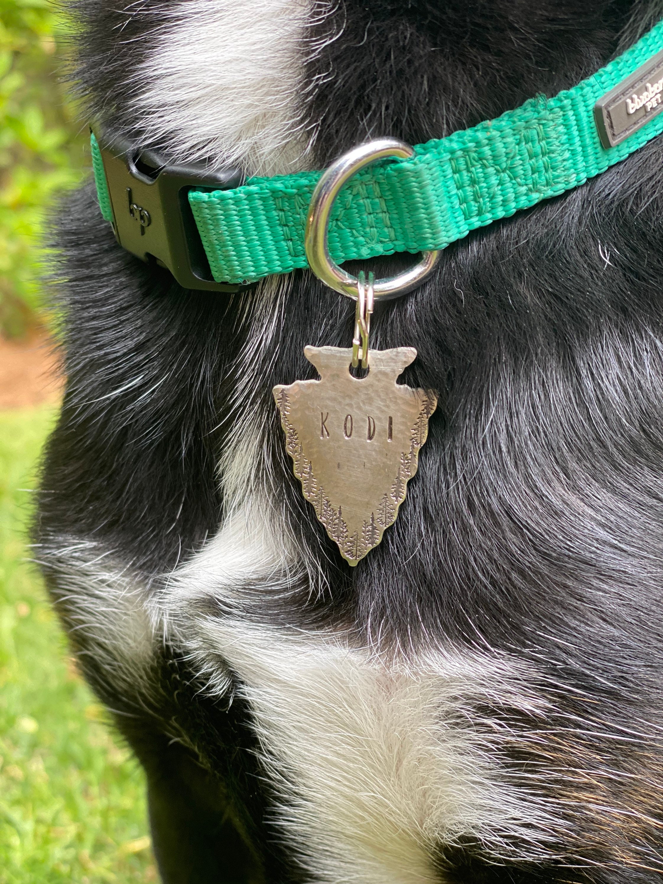 free dog tags for dogs with free shipping free dog tags for dogs with free shipping