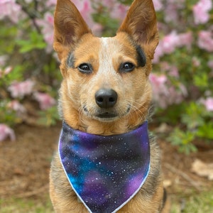 Stargazer Dog Bandana | Galaxy, space, stars, Milky Way | cute bandana for dogs