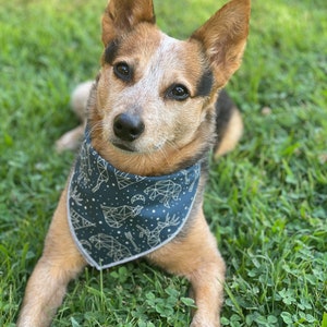 Adventure Nights explorer Dog bandana tie and snap on - bear, moose, wolf, stars, constellation, night sky, bandanna