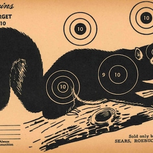 Vintage JC Higgins Sears Roebuck Squirrel Target - Download