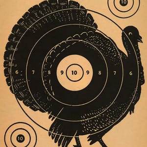 Vintage JC Higgins Sears Roebuck Turkey Target No.9 - Download