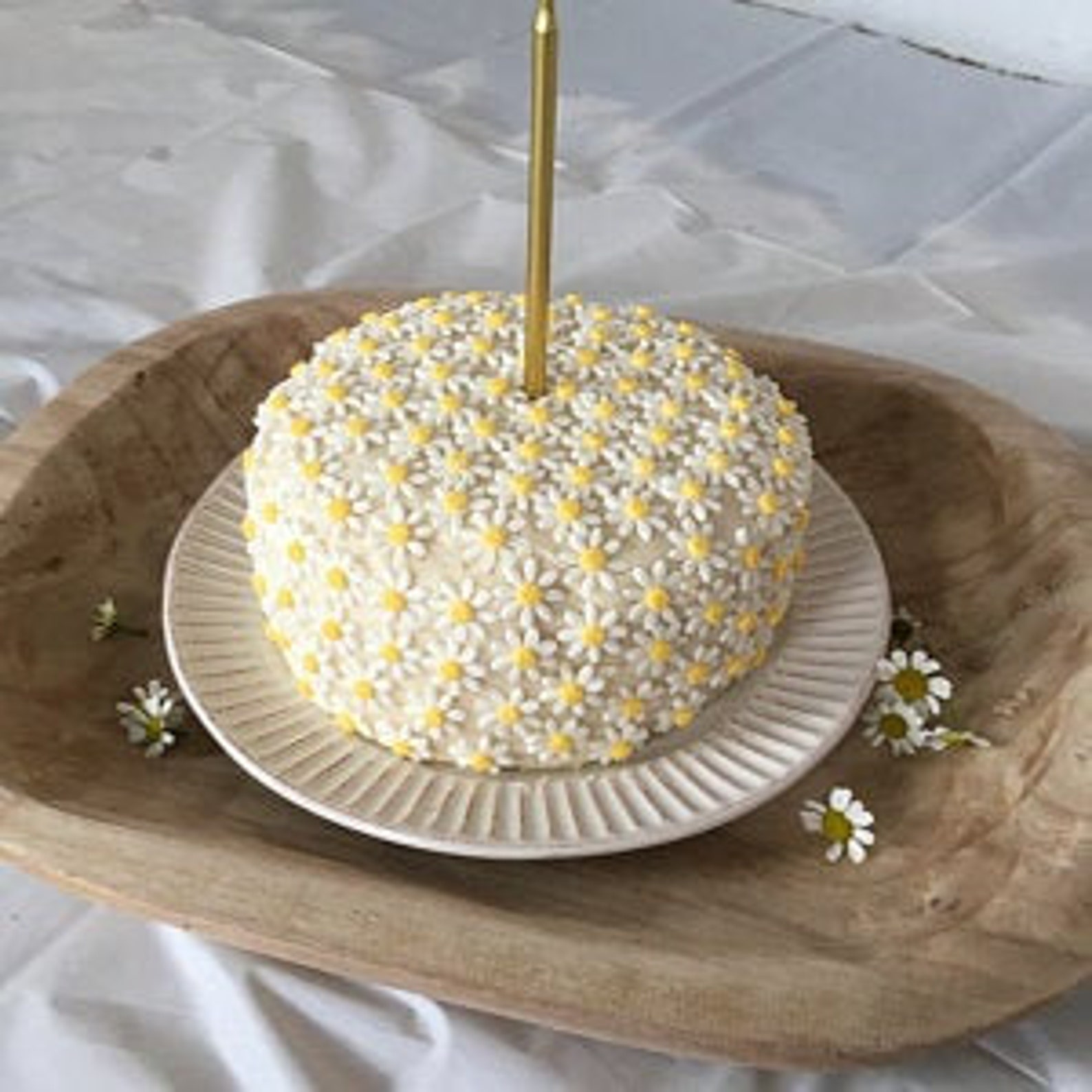 Small Edible Fondant Daisies / Edible Cake Cupcake Sugar Etsy