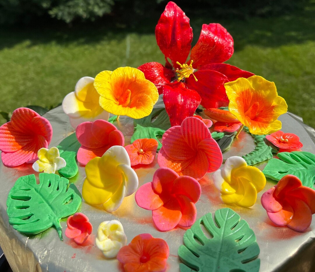 Gum Paste Hibiscus Hawaiian Flower/fondant Multi Size Plumeria