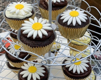 12 Handmade Fondant Daisy Flowers: Wedding Cake Toppers