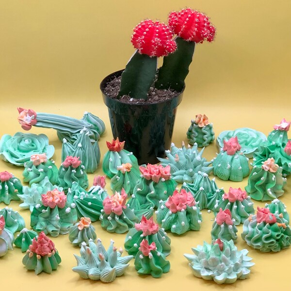 Incredibly Real-Looking Edible Succulent Cupcake Decorations / Сactus Meringue / Сowboy party / Wild West  Cupcake Toppers / Western Party