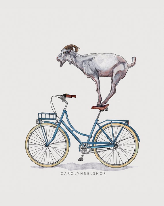 Cabra en bicicleta Impresión 8x10 Estudio de cabra - Etsy España