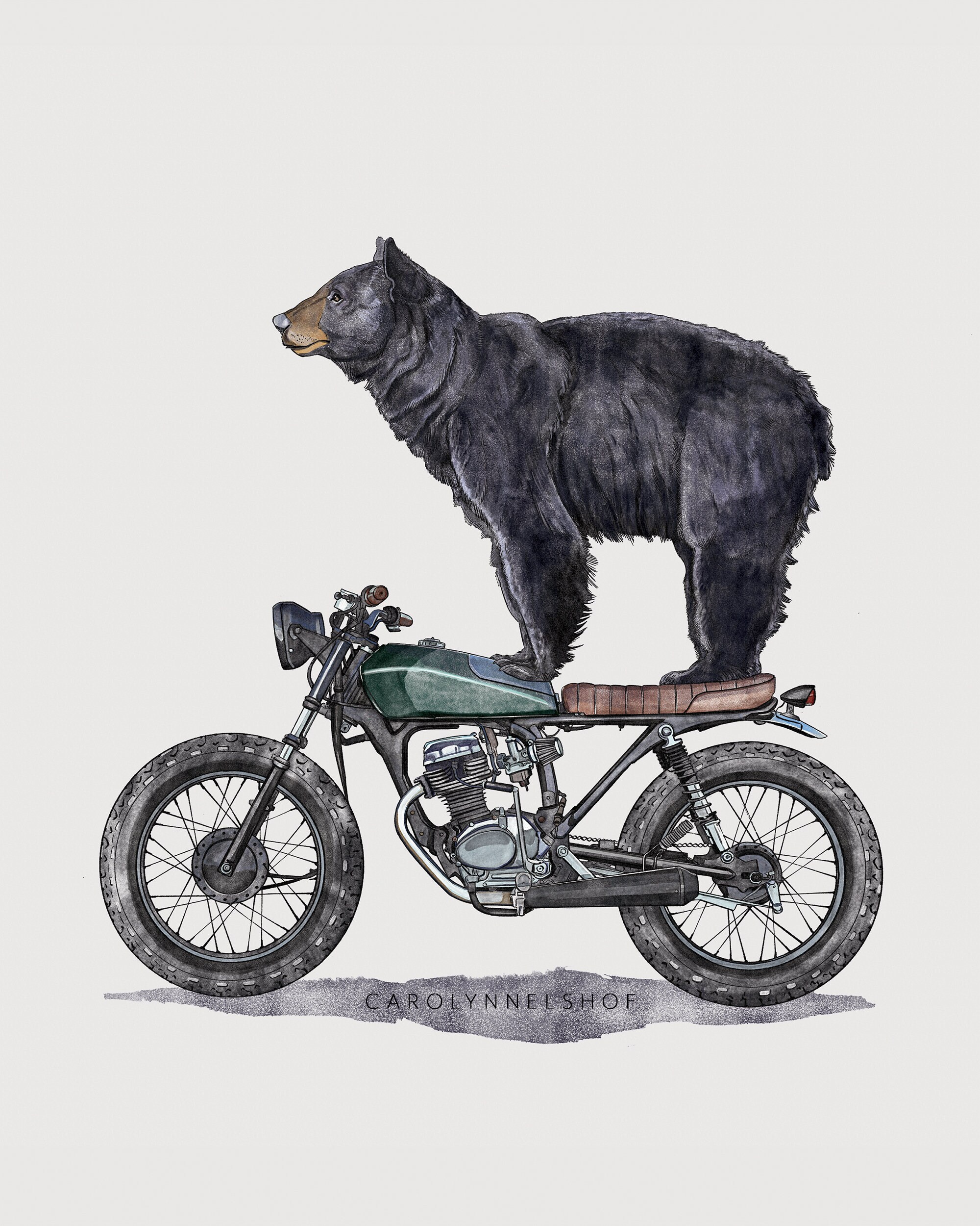 bear on a motorcycle