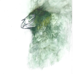 Original Mari Lwyd Experiment Aquarelle