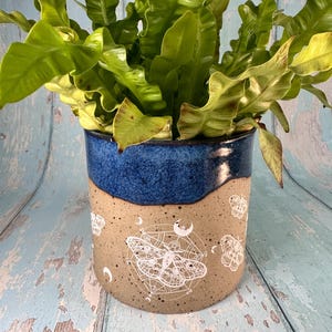 May include: A ceramic planter with a blue glaze and a white design of a moth, moons, and stars. The planter is filled with a green plant.