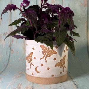 May include: A white ceramic plant pot with a speckled finish, featuring brown stamped designs of luna moths, crescent moons, and stars. The base of the pot is unglazed, showing a natural tan clay colour. A dark purple leafy plant sits inside.