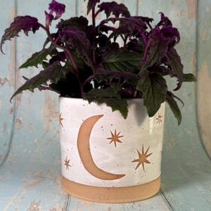 May include: A white ceramic planter with a speckled finish featuring a tan crescent moon and star pattern. The cylindrical pot contains a lush plant with dark purple, serrated leaves that extend outward from the top of the container.