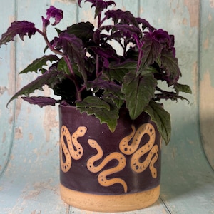 Op de afbeelding: Een cilindervormige keramische plantenpot met een dieppaarse glazuurlaag en een natuurlijke beige basis. De pot heeft een herhalend patroon van lichtbeige slangen met maanfasemarkeringen op hun lichamen. Een plant met donkerpaars en groen blad.