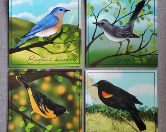 Set of 4 Summer Bird Giclée Prints || 5x5", High Quality, Birds, Unframed