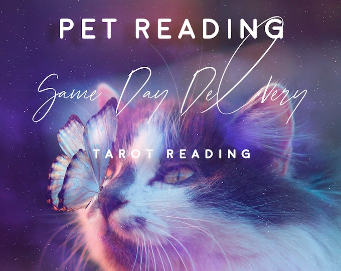 Pet Psychic Reading: Tarot, Oracle, Spanish Cards (Same Day)