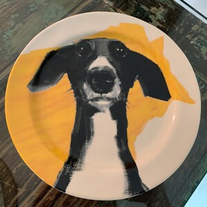May include: A round, white ceramic plate featuring a black and white dog portrait against a yellow background. The dog's face is centered, with large, dark eyes and floppy ears. The plate has a simple, modern design.