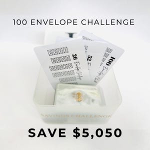100 Envelope Savings Challenge Box | Save 5050 Money Challenge | Cash Stuffing Starter Kit | Budget Binder System | Gift Idea Set