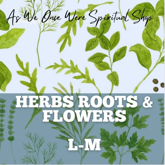 Buy Herbs Roots and Flowers L-M Herbs for Witchcraft Witchcraft