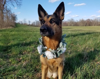 dog flower girl basket