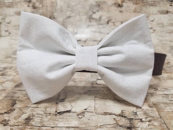 boy dog bow ties