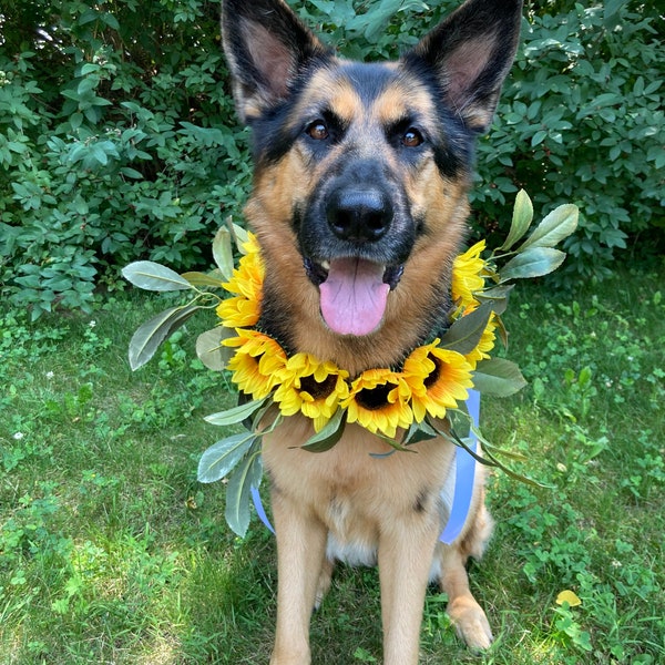 Dog Flower Girl Etsy