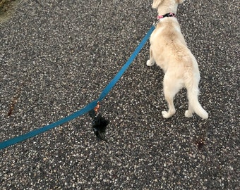 ClipaDoo Too dog poo leash clip