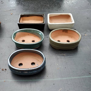 May include: A collection of ceramic bonsai pots in various shapes and colors. The pots include a black rectangular pot, a white square pot, and three oval pots in green, olive, and blue. Each pot has drainage holes.